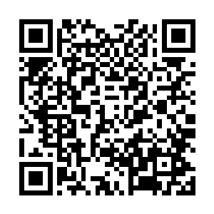 所以他建议引进大量的东南亚等地的水果品种进行种植二维码生成