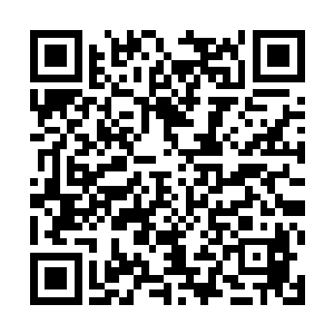 所以他很不客气的将西蒙的一把备用1911给征用了二维码生成