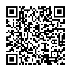 所以他无所谓闽侯王悬赏的那可以替人达成不过分心愿说辞二维码生成
