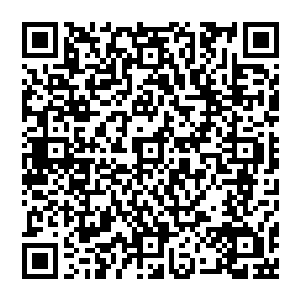 所以他没有减速莫斯科斯巴达的球员在后面穷追不舍……但是他们已经追不上了荣已经要跑到大禁区了二维码生成