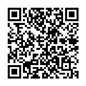 所以他自然不会让楚旬为了那些阿修罗而耽误了最好的突破时机二维码生成