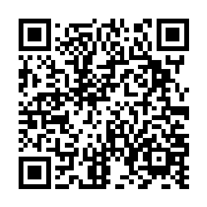 所以他读这个研究生主要的目的还是为了一张文凭二维码生成