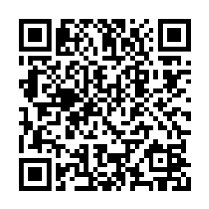 所以任何一件拍卖品流拍都会给拍卖行造成损失二维码生成