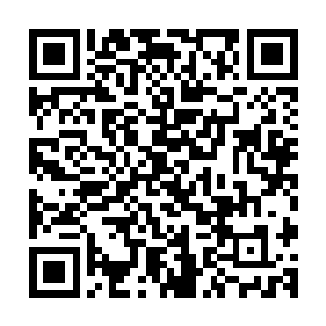 所以众人有意无意的看了一眼先前出声嘲笑华夏九的华服青年二维码生成