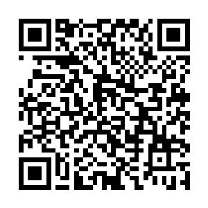 所以但凡得到妖皇石之力的人不能用此力量为非作歹二维码生成