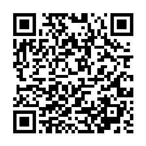 所以你为什么不试试用这个技巧来催动其他的火系拳法呢二维码生成