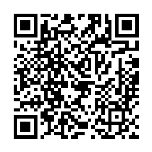 所以其他三个家族就提出我们第五家族可以连任的建议二维码生成