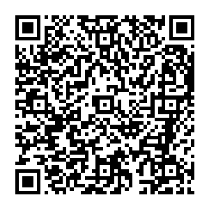 所以只能吸收木属性的晶核…若是吸收其它属性的晶核就会在体内形成一个能量团与原来的对抗二维码生成