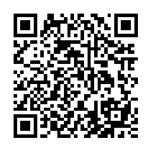 所以只能硬着头皮效仿凌菲把那药丸子切一块化水给他喝下去二维码生成