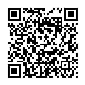 所以哪怕是陆为民这个算得上半个恩主的领导要挡他的路二维码生成