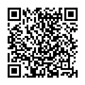 所以在他犹豫间顾依依早就探出身体抓住紫藤慢慢往上爬了二维码生成