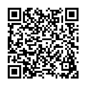 所以在菽粟突然出手用一种陌生而模糊的能量将她二维码生成