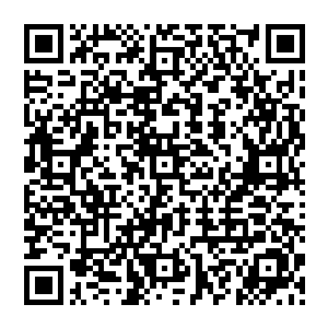 所以多特蒙德的球迷不待见他是有情可原的――谁喜欢一个总是在对自己球队比赛中进球的人呢二维码生成