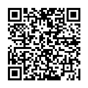 所以她对于这里的每一栋楼和一草一木都是如数家珍二维码生成