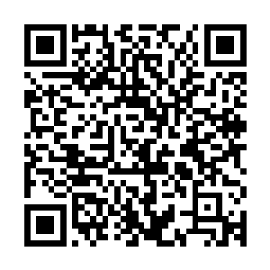 所以她很害怕自己出场之后会无法收获不足以冷场的掌声和支持二维码生成