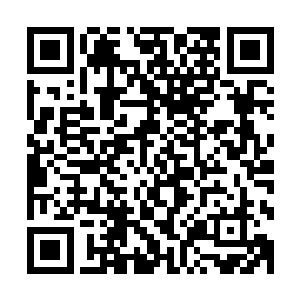 所以如今他们在之前战斗中消耗和透支的力量也已经彻底恢复二维码生成