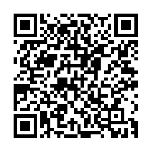 所以寂灭之雷到底属于哪个等级的秘藏一直没有一种统一的说法二维码生成