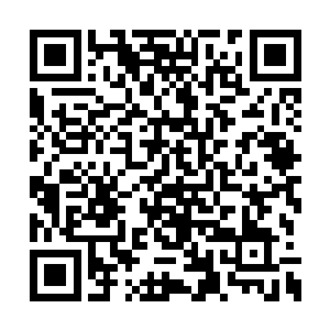 所以巴克也无论如何都不会选择什么另类的枪械二维码生成