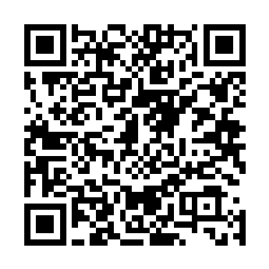 所以当初木萦在那些排名靠前的五十名弟子中没有见到过他二维码生成