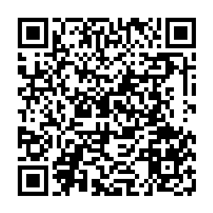 所以很快收敛的笑意摊开手掌指身后那三个躺在寒风中已经一两小时的身体二维码生成