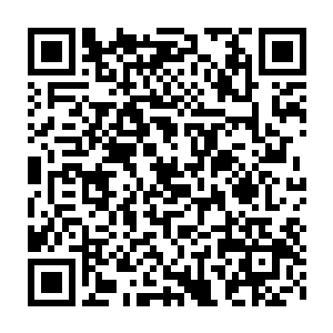 所以我们制作了这方面的招商引资宣传资料寄给了我在岭南那边的同学二维码生成