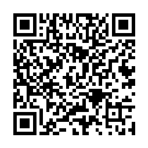 所以我们基地医院和南腊皇家医疗中心签订了协议二维码生成