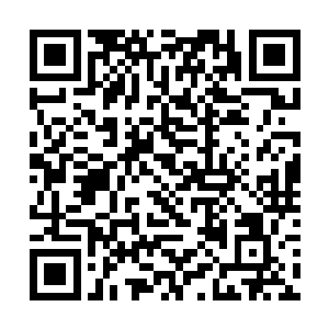 所以我们得尽力促成华侨城与我们的合作有一个协议二维码生成