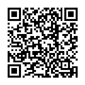 所以才会有这么庞大的力量支撑起了它们的第二道阵法二维码生成