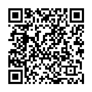 所以才会种了那么多……可她当时看过沈家园子里的梨树二维码生成