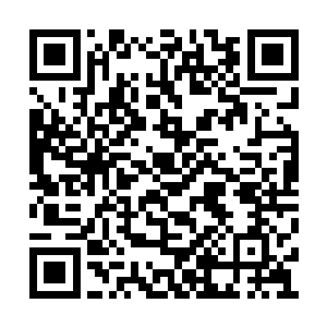 所以无时无刻不在凌蘭面前刷自己独特的存在感二维码生成