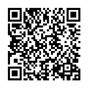 所以普通拍卖会和贵宾拍卖会的结算和运营相对是独立的二维码生成