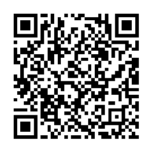 所以木行宫必须要看到水行宫的实际行动才会动手二维码生成