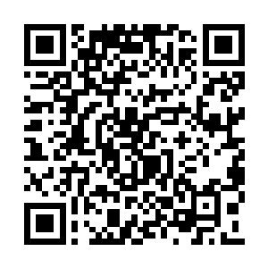 所以李谦心里为她的表演事业所做的打算和规划二维码生成