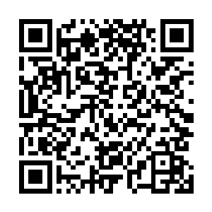 所以来福客栈才会在那竞争激烈的东十三街依旧生意火爆二维码生成
