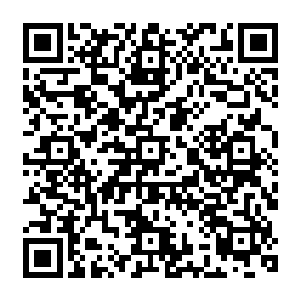 所以林烽不忍看到这些华夏先辈受苦受难的冤魂就这么最后也落得一个魂飞魄散的下场二维码生成