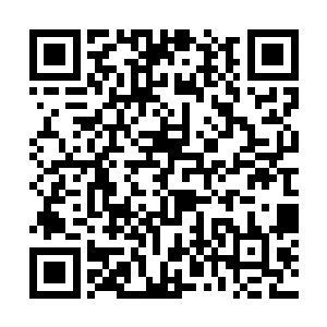 所以此刻系统也是立刻推算出了一个大致准确的数据二维码生成