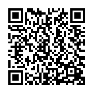 所以此时的小秋除了漂亮可爱之外还多了一份楚楚可怜的气质二维码生成