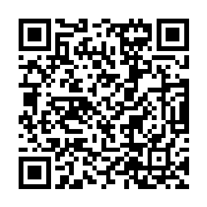所以每个细胞都在无比清晰的将痛的触感传递给大脑二维码生成