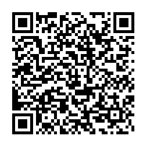 所以洪大力的不把人放在眼里的这样子实在是叫人感觉到令人发指二维码生成