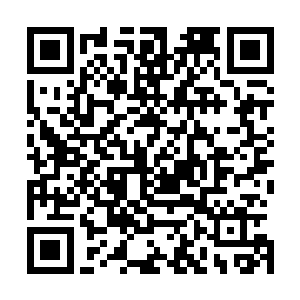 所以王铮同学感觉自己可以通过伸张争议环节一下财务压力二维码生成