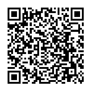 所以现在可以认为敌人在每层的人数基本符合我们之前对敌人人数的判断二维码生成