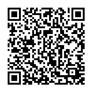 所以现在整个海滨度假村一般的家属区被他们打扫得跟军营一样一尘不染二维码生成