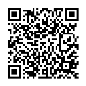 所以现在最重要的就是尽快利用这些力量打破你们的神国壁垒二维码生成