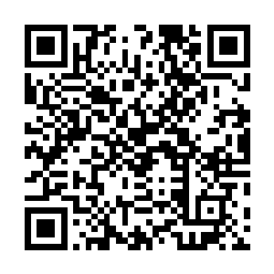 所以现在洪大力确实有点不敢下去――去看美女是一回事二维码生成