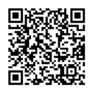 所以珍妮还给自己每一场每一幕的表演都做了金手指日记二维码生成