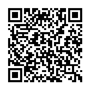 所以班长乔飞一口咬定是他留在教室里偷了班费二维码生成