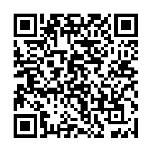 所以自然也就一眼认出了异形到底进化成了何种形态二维码生成