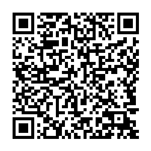 所以落入赫罗两兄弟的眼中便是觉得秦宇已经是强弩之末坚持不下去了二维码生成