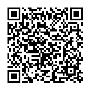 所以虽然总是借着各种各样的借口为二郎君熏些衣物或者绣块巾帕二维码生成