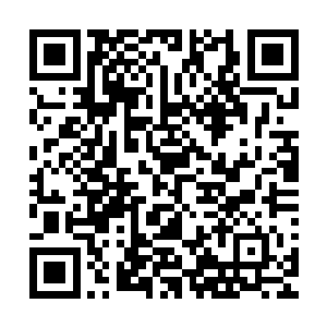所以血魂门藏宝库中的宝藏龙傲天几个人一件不落的统统手走二维码生成